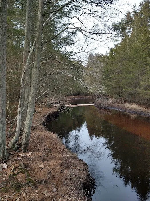 Hawkins Bridge Campground 5
