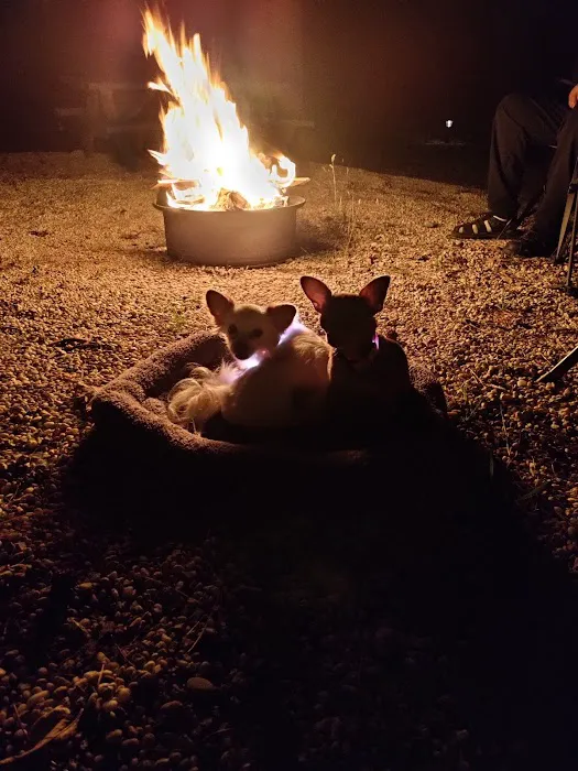 Colonial Meadows Family Campground 4