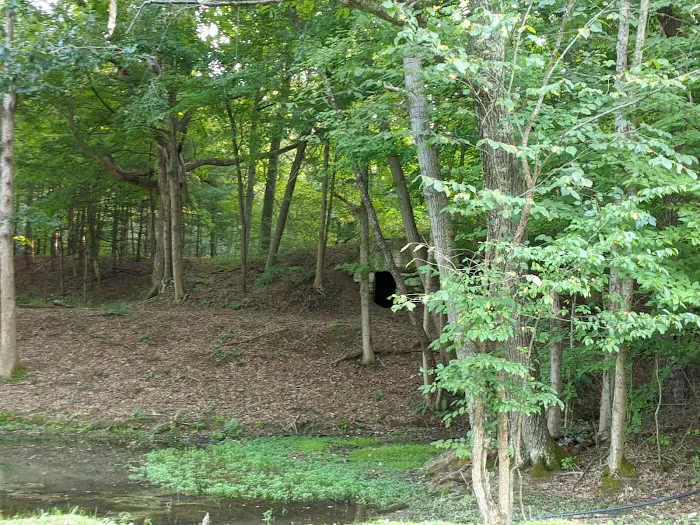 Walhonding Hills Campgrounds 9
