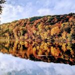 Miller's Landing Campground