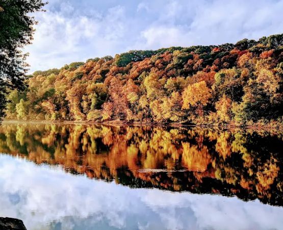 Miller's Landing Campground