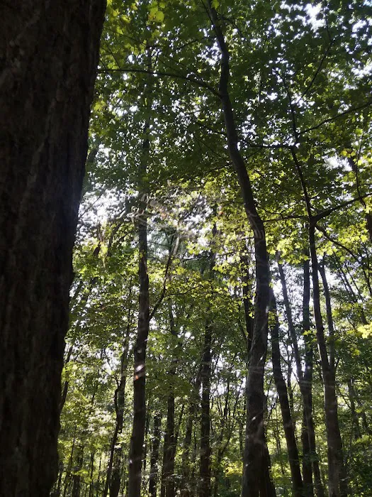 Raccoon Creek State Park Campground 9