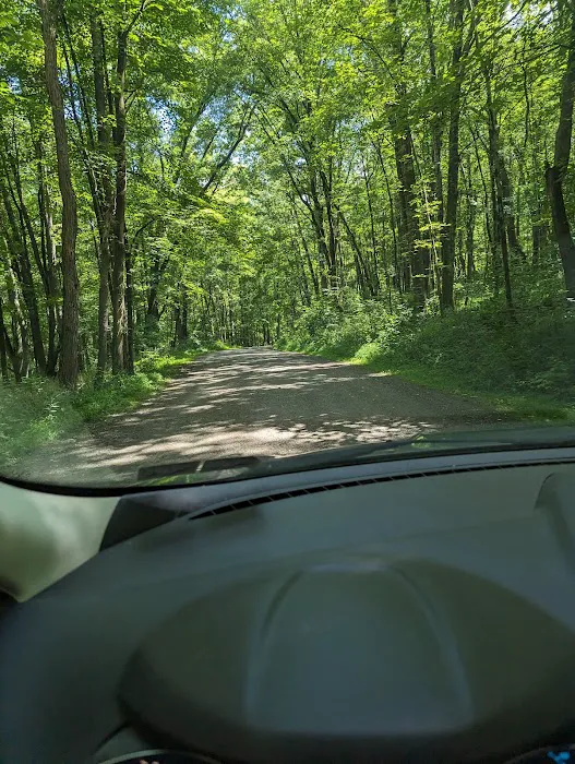 Raccoon Creek State Park Campground 6