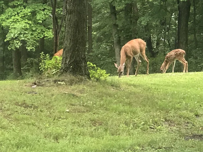 Raccoon Creek State Park Campground 4