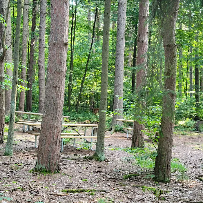 Raccoon Creek State Park Campground 7