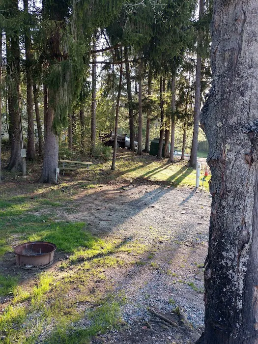 Whispering Pines Family 9