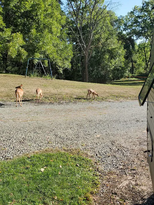 Whispering Pines Family 0