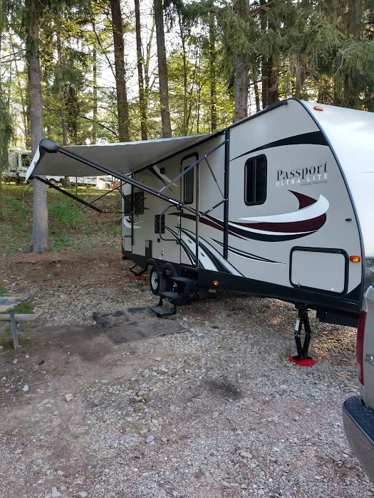 Whispering Pines Family 7
