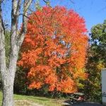 Washington / Pittsburgh SW KOA Journey