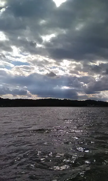 Marina Point Campground 8