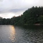 Marina Point Campground