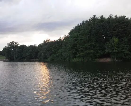 Marina Point Campground