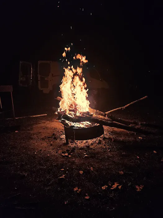 Wolf Run State Park Campground 7