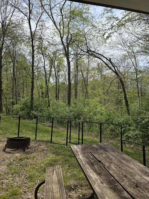 Wolf Run State Park Campground 9