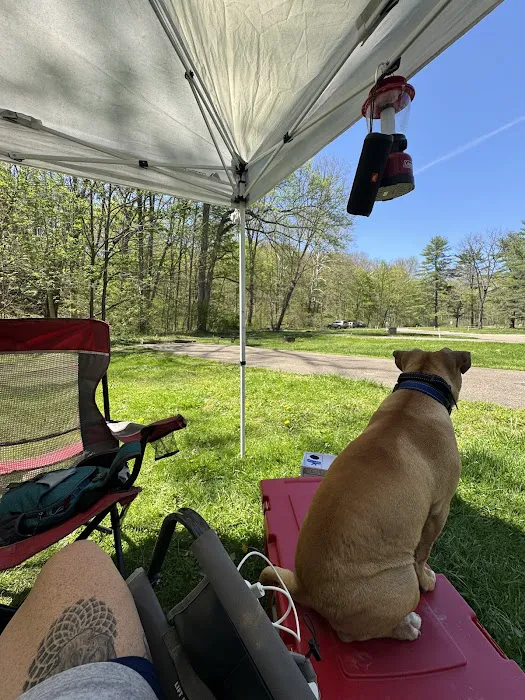 The Campground at Strouds Run State Park 2
