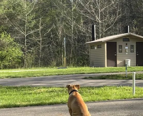 The Campground at Strouds Run State Park