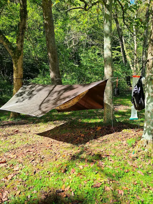 The Campground at Strouds Run State Park 1