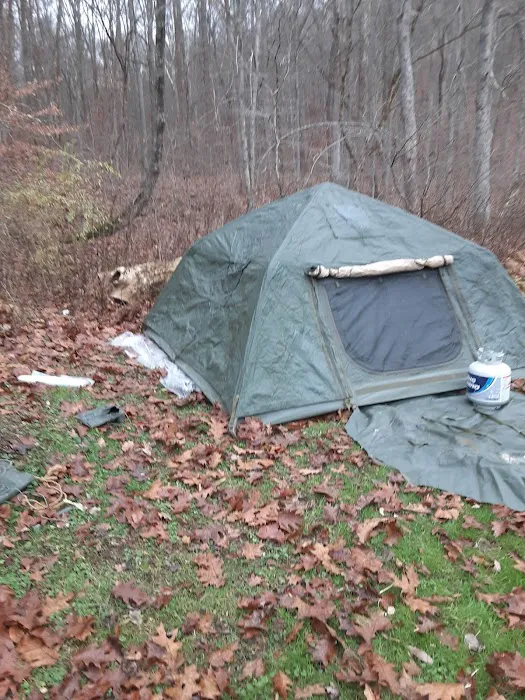 The Campground at Strouds Run State Park 9