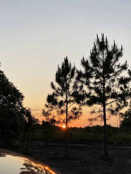 Rancho Tierra Linda 1