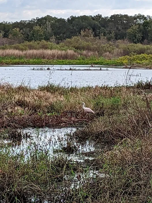 Lake Jackson Campsite 4