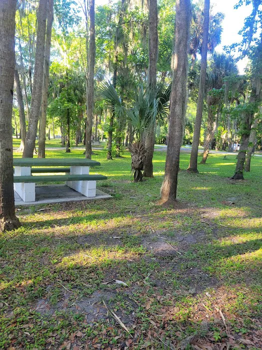 Campground 6
