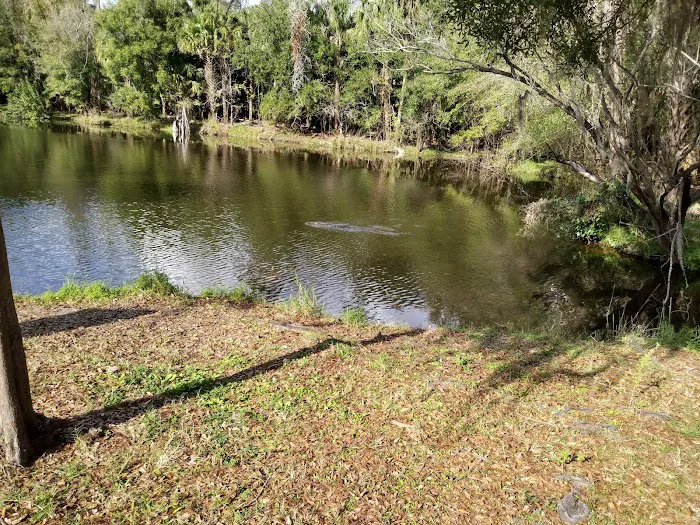 Campground 8