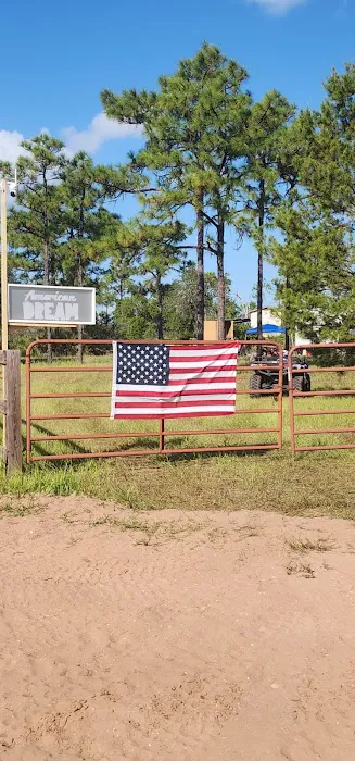 Camp American Dream 0