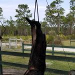 Three Lakes camping 2