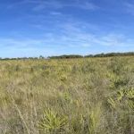 Tick Island Slough Campsite