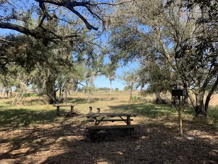 Northern Boundary/Pine Island Slough Campsite 0