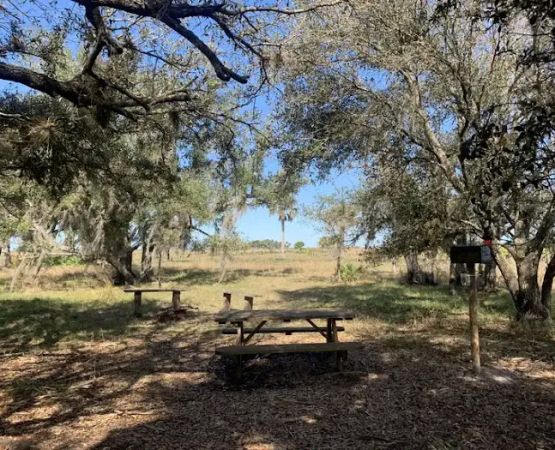 Northern Boundary/Pine Island Slough Campsite