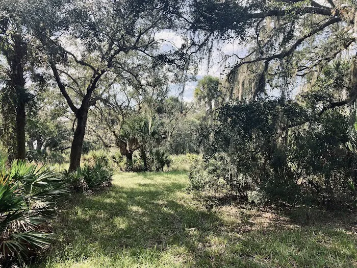 Primitive Campsite 3