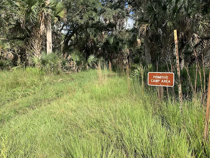 Primitive Campsite 8