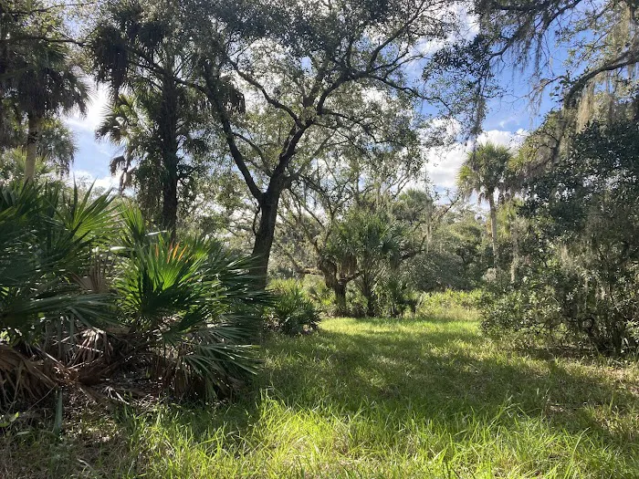 Primitive Campsite 9