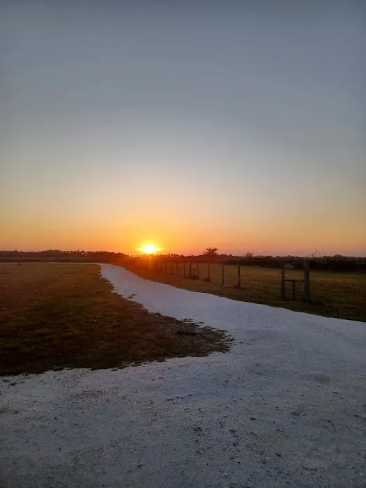 Timberline Glamping at Kissimmee Prairie Preserve State Park 6