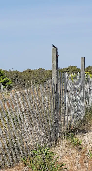 J Loop Tent Sites 2