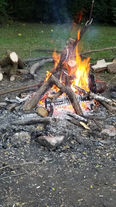 Davis Creek Campground 4