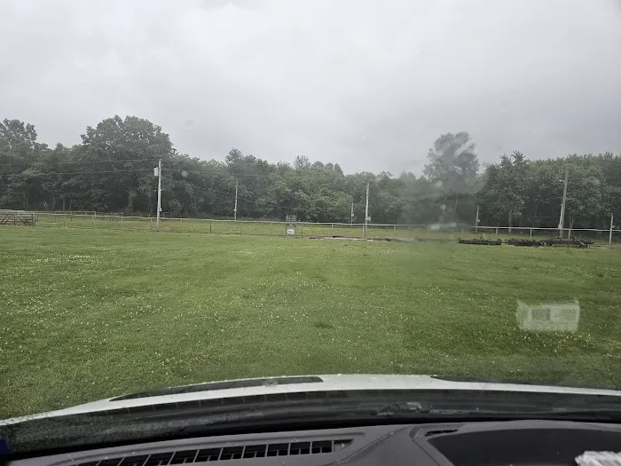 Palestine Park 4