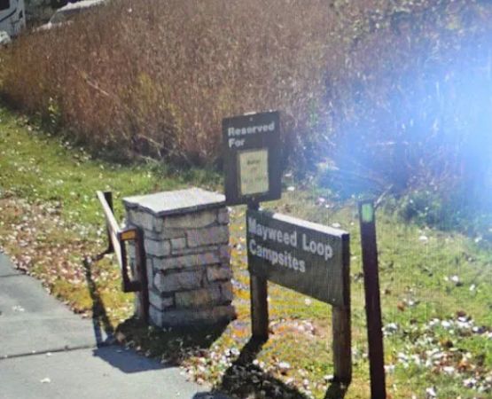 Mayweed Loop