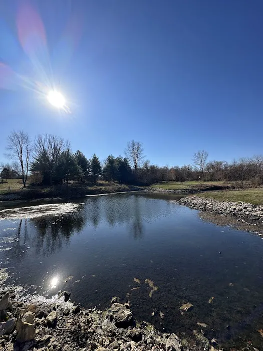 Littlefield Recreation Area Campground C 5