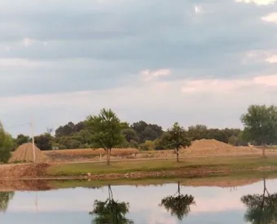 Crazy Acres
