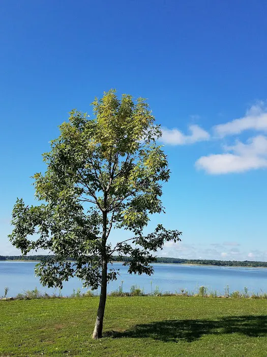 BRIDGEVIEW (RATHBUN LAKE) (recgovnpsdata) 4