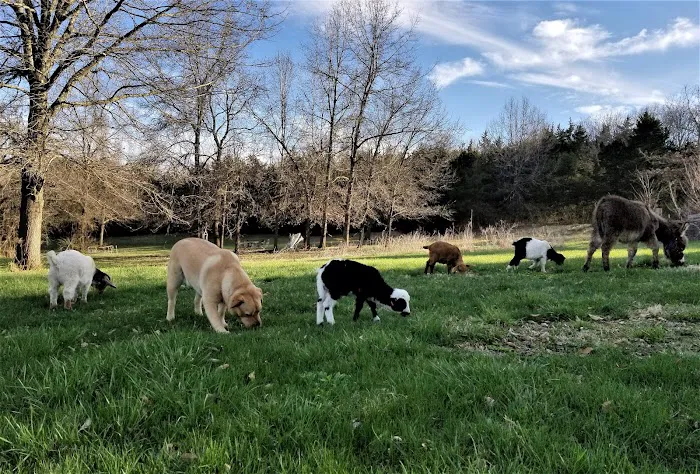Milo Farm - Retreat Center, Campground, Sacred Land 6