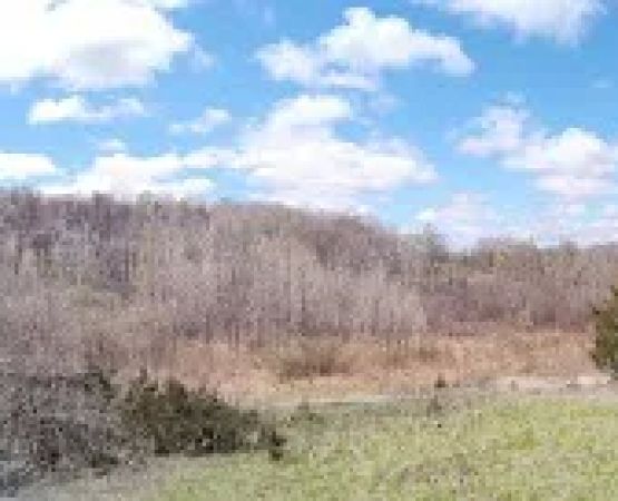 Ice Age National Scenic Trail - Dispersed Camping Site
