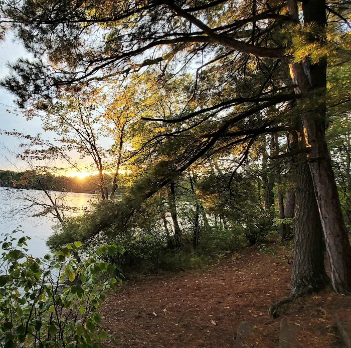 Upper Gresham Lake State Forest Campground 9