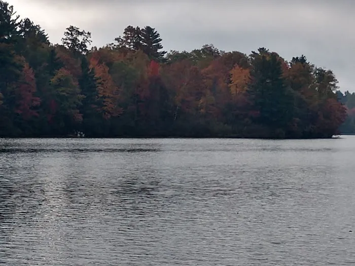 Upper Gresham Lake State Forest Campground 2