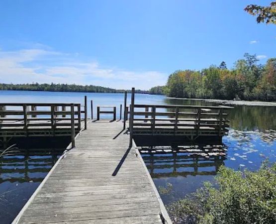 Upper Gresham Lake State Forest Campground