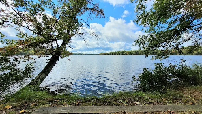 Upper Gresham Lake State Forest Campground 4
