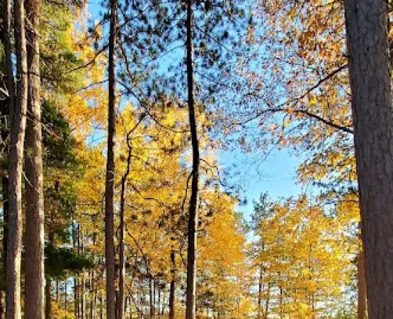 Jag Lake Group Camp
