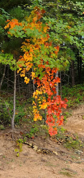 Camp Holiday Campground 8